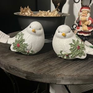 New beautiful holiday birds